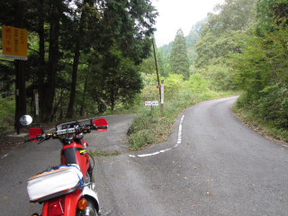 a0052952_168297.jpg