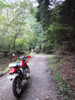a0052952_1683955.jpg