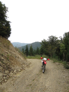 a0052952_169947.jpg