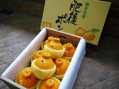 山あいの南高梅 間伐して高品質の梅を育てる匠と夏の剪定の話_a0254656_1754151.jpg