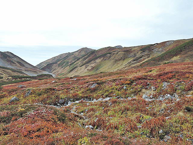 c0116856_774315.jpg