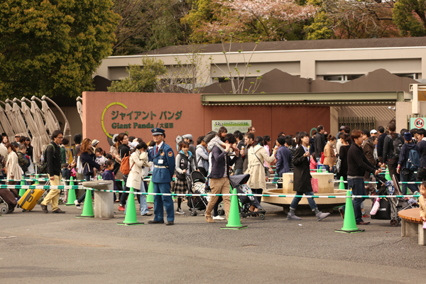 上野動物園の混雑予測と対策をまとめてみた 動物園のど