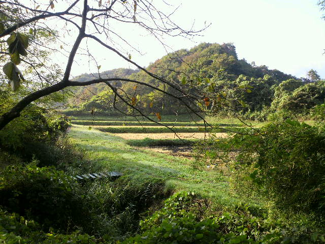 f0208665_7522630.jpg