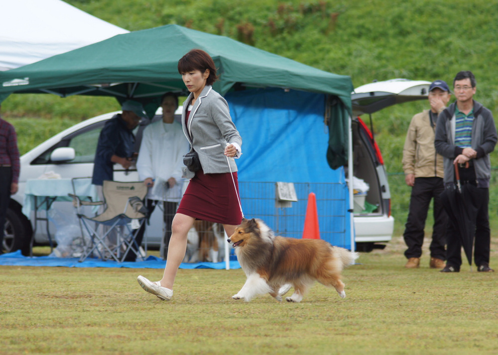 10.11 JCC ibaragi_a0139367_21225152.jpg