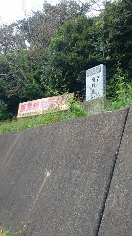 c0347272_22421742.jpg