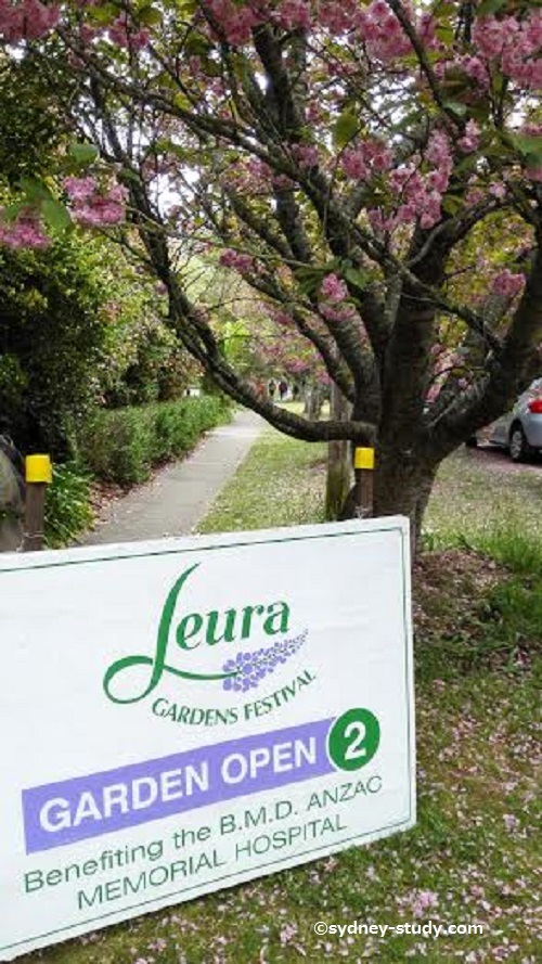 花の街 ルーラに行ってきました オーストラリア留学ならまずはシドニー留学 花の街 ルーラに行ってきました オーストラリア留学ならまずはシドニー留学