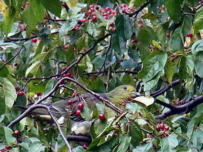 f0083977_2134184.jpg