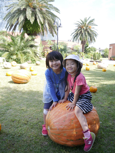 夢の島　熱帯植物館のハロウィン。　2015年10月3日（土）_c0004078_22275475.jpg