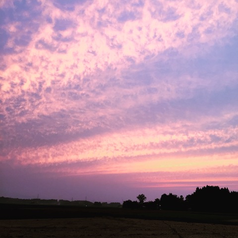 感動の夕空_d0182179_19584021.jpg