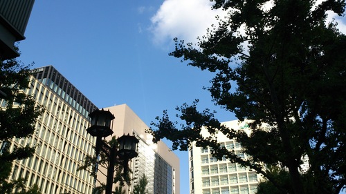 b0240382_2156018.jpg