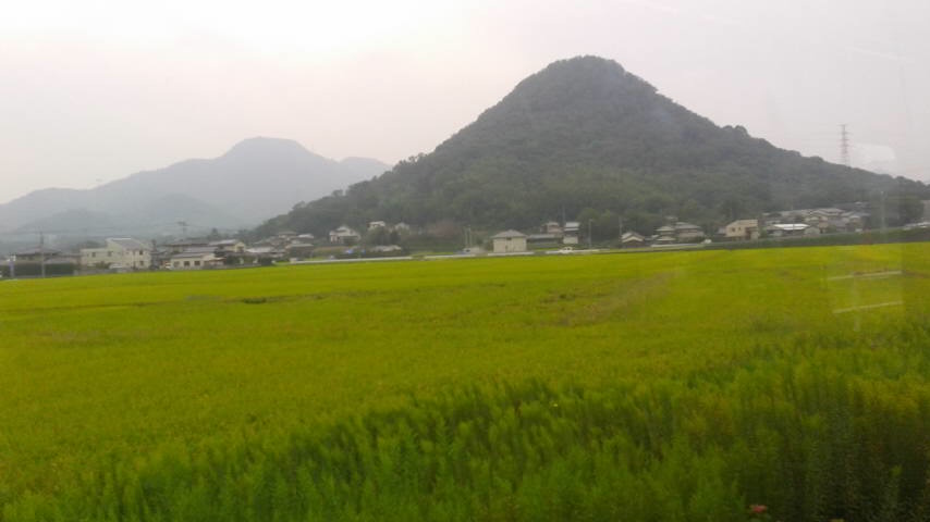 香川県はうどんだけではないですよ。（２）＜ことでんに乗って昼ごはんの巻＞_a0141884_137967.jpg