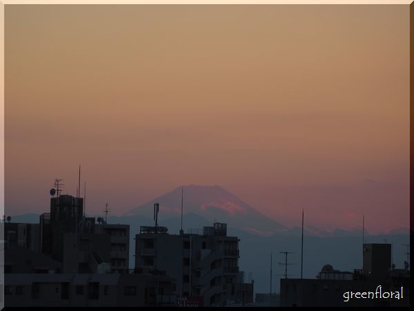 富士山@目黒天空庭園_b0040888_22345045.jpg