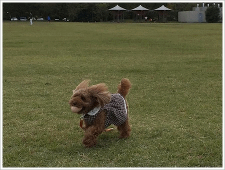 b0175688_23595501.gif