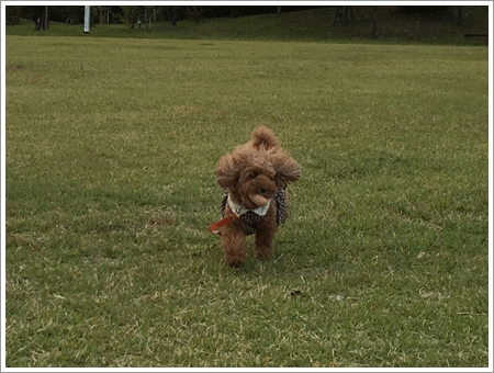 b0175688_23595834.gif