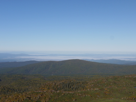 c0171889_16491287.jpg