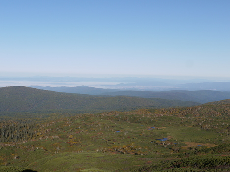 c0171889_1649424.jpg