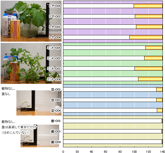 140cc水耕栽培：１日あたりの水減り_a0024690_19532575.png