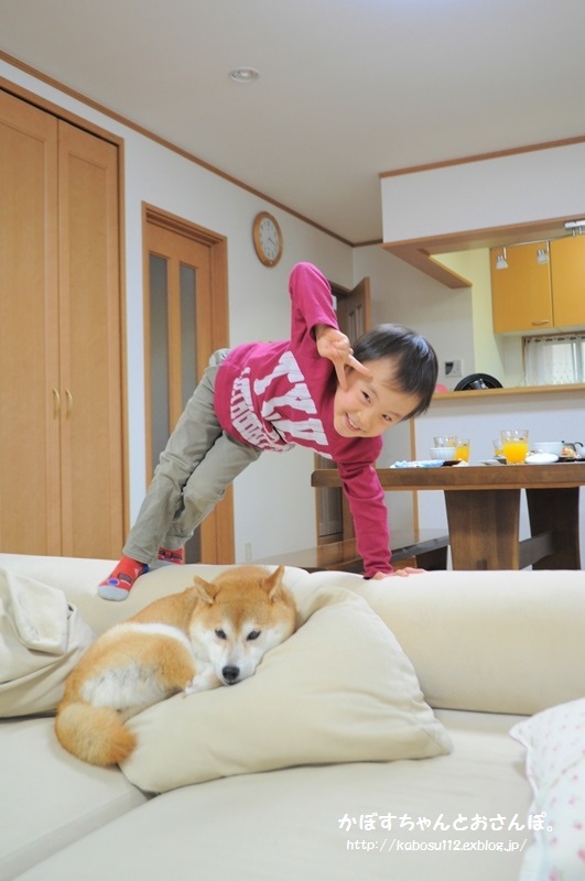 ちびっ子カメラマン_a0126590_22393303.jpg