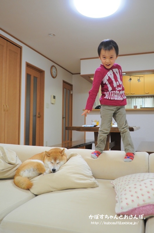 ちびっ子カメラマン_a0126590_22412021.jpg