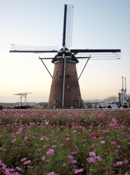 d0318191_22474514.jpg