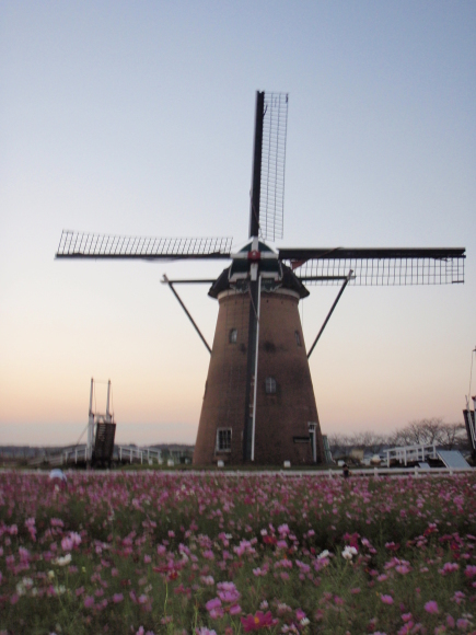 d0318191_22482619.jpg