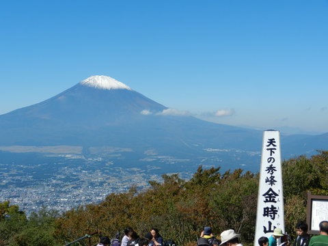 箱根金時山の花 Vol.82 富士山初冠雪_e0024094_1744270.jpg