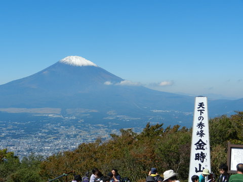 箱根金時山の花　　Ｖｏｌ．８２　　富士山初冠雪_e0024094_1744270.jpg