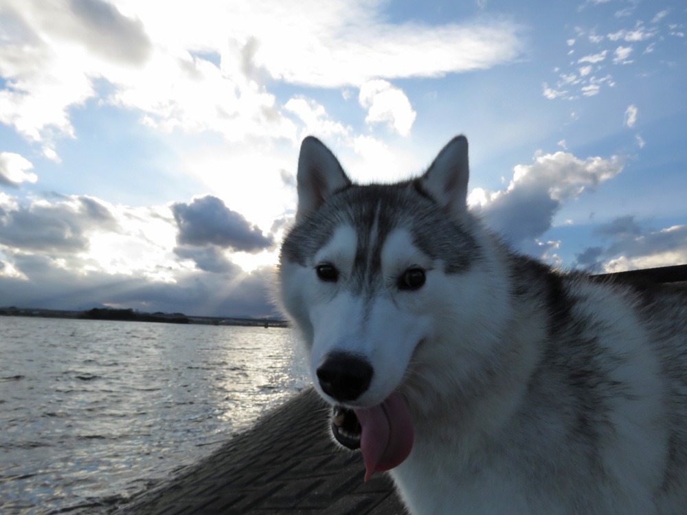 あっという間にもう10月♪ (^o^)_c0049299_2222866.jpg