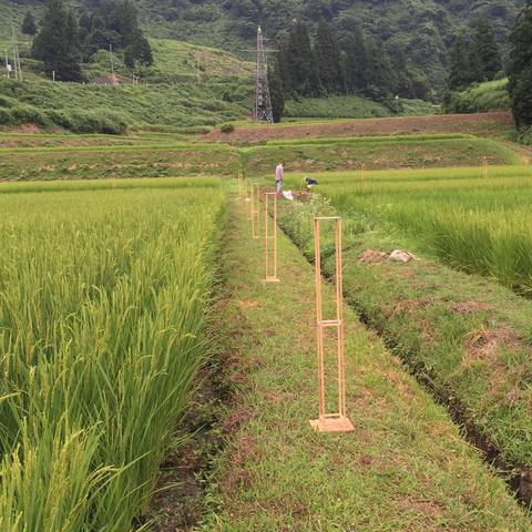 国道２５３から望む光の風景　光の回廊　松苧そば裏の棚田にて制作開始_f0156799_15143881.jpg