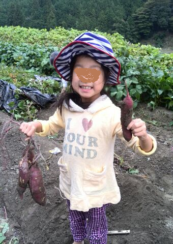 10月恒例の黒枝豆収穫とおいも掘り - 手作り大好きbeelog-cafe