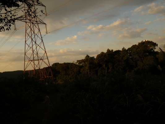 f0187402_20151323.jpg