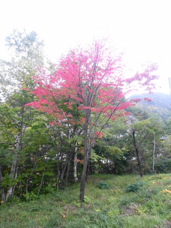 b0229003_14153942.jpg