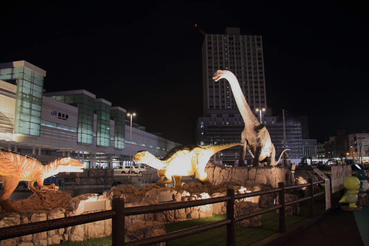福井駅にも恐竜が 鳥と花の写真集２