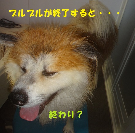 f0121712_152113.jpg