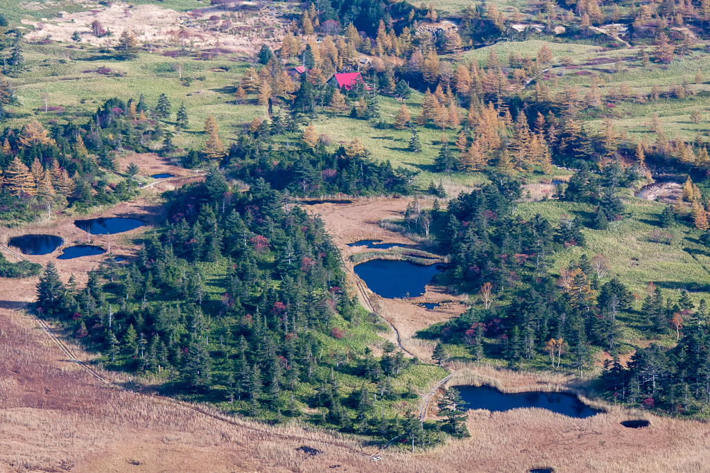 b0010915_19134671.jpg