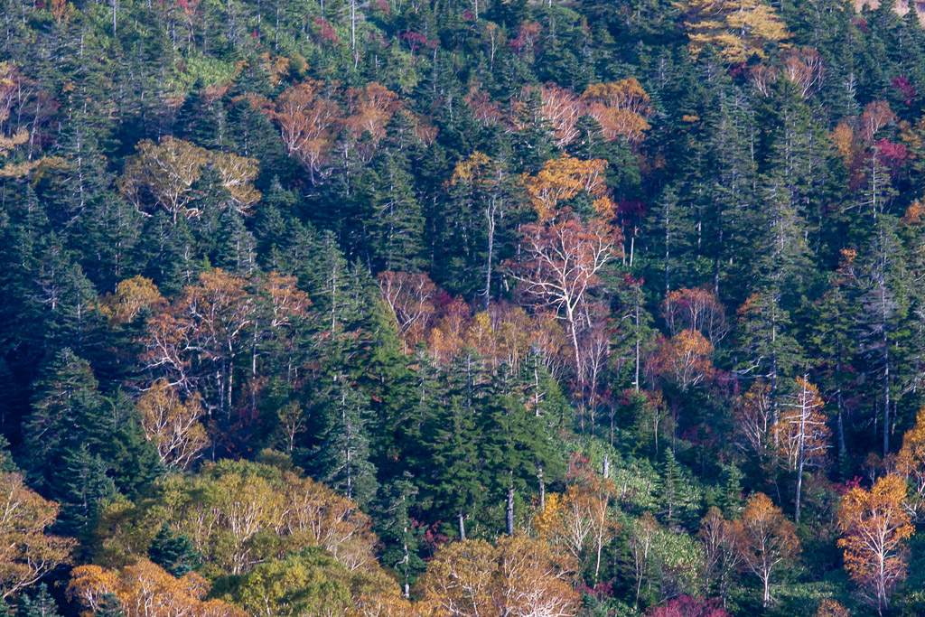 b0010915_19152255.jpg