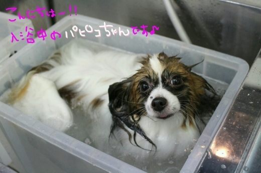 kiri♡_b0130018_01191987.jpg