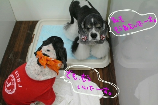kiri♡_b0130018_01295226.jpg