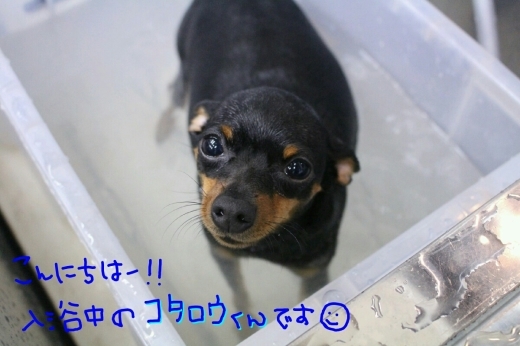 kiri♡_b0130018_01344205.jpg