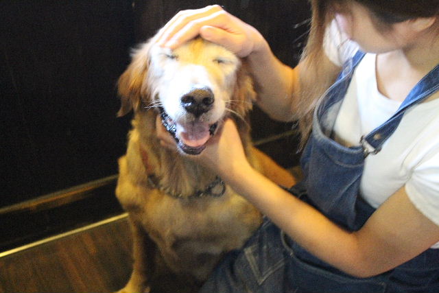 kiri♡_b0130018_9395196.jpg