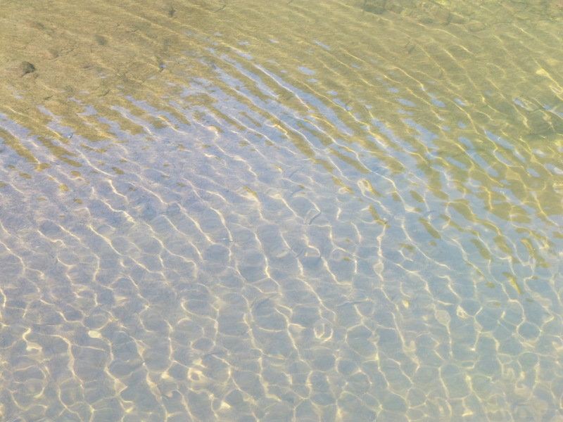 a0125419_21513621.jpg