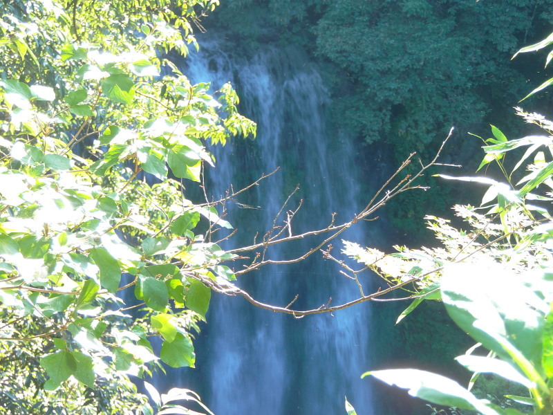 a0125419_21590549.jpg