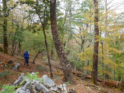 f0193521_17405036.jpg