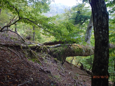 球磨川源流(水上越）_f0193521_1743464.jpg