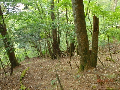 球磨川源流(水上越）_f0193521_17462695.jpg