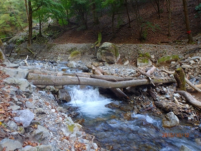 球磨川源流(水上越）_f0193521_424336.jpg