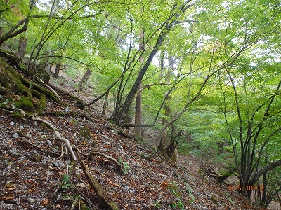 f0193521_4322569.jpg