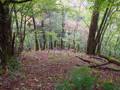 f0193521_432647.jpg