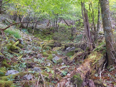 f0193521_4424347.jpg