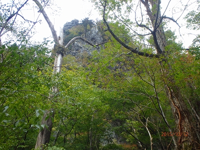 f0193521_4442745.jpg